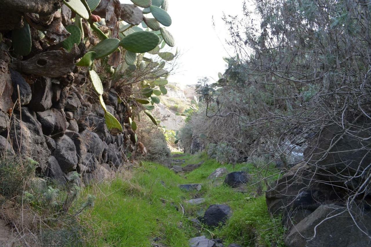 锡拉夏岛Agrilia Secluded Cave House别墅 外观 照片